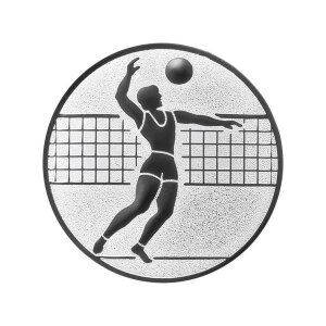 Ansicht Emblem Volleyball Ø25 silber
