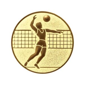 Ansicht Emblem Volleyball Ø25 gold