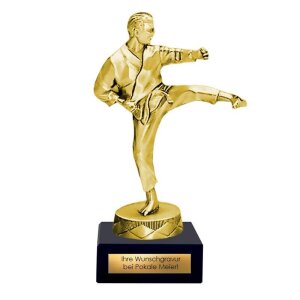Pokal Karatekämpfer Metallfigur gold | silber