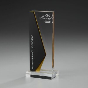 Acryl-Award "Foresight"
