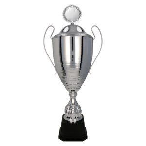 Ansicht First- Class- Pokal Big Silber