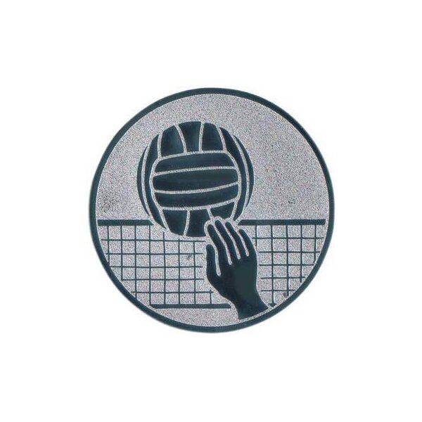 Ansicht Emblem Volleyball III