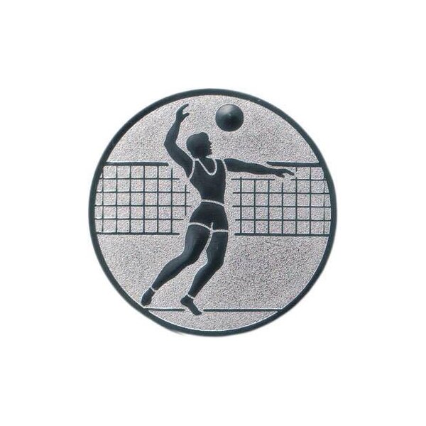 Ansicht Emblem Volleyball