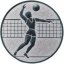 Ansicht Emblem Volleyball