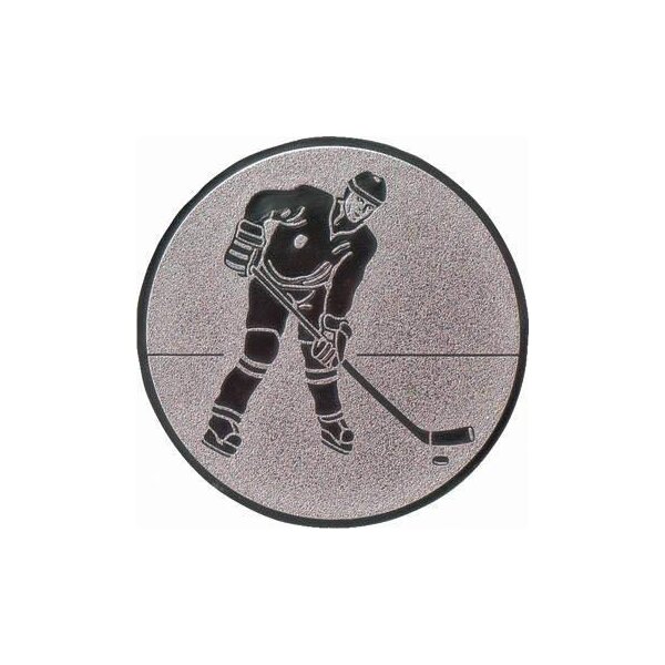 Ansicht Emblem Eishockey