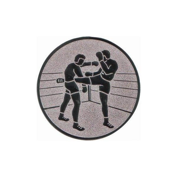 Ansicht Emblem Kickboxen