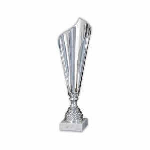 Ansicht Pokal Winner-Cup silber