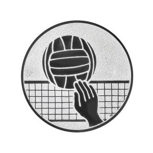 Ansicht Emblem Volleyball Ø50 silber