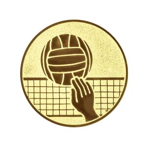 Ansicht Emblem Volleyball Ø50 gold